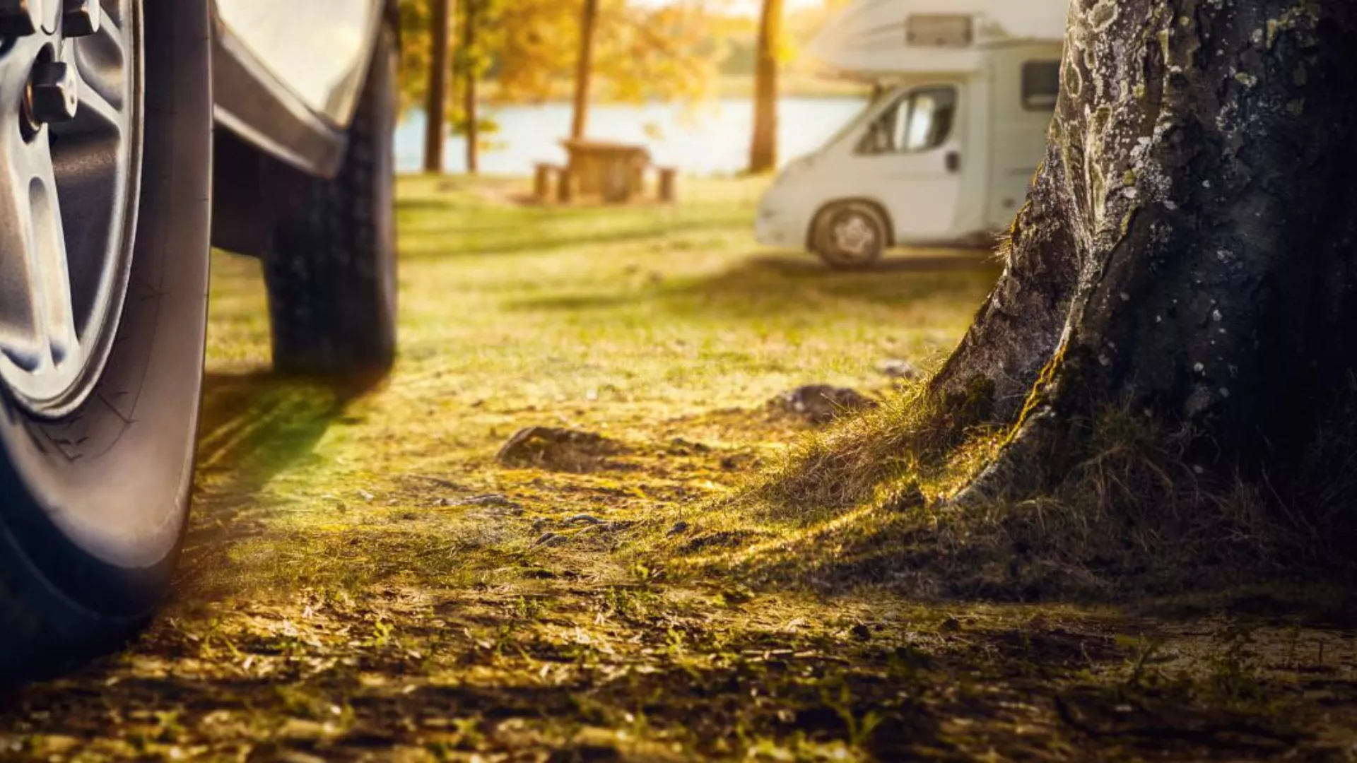 Van Contact Camper