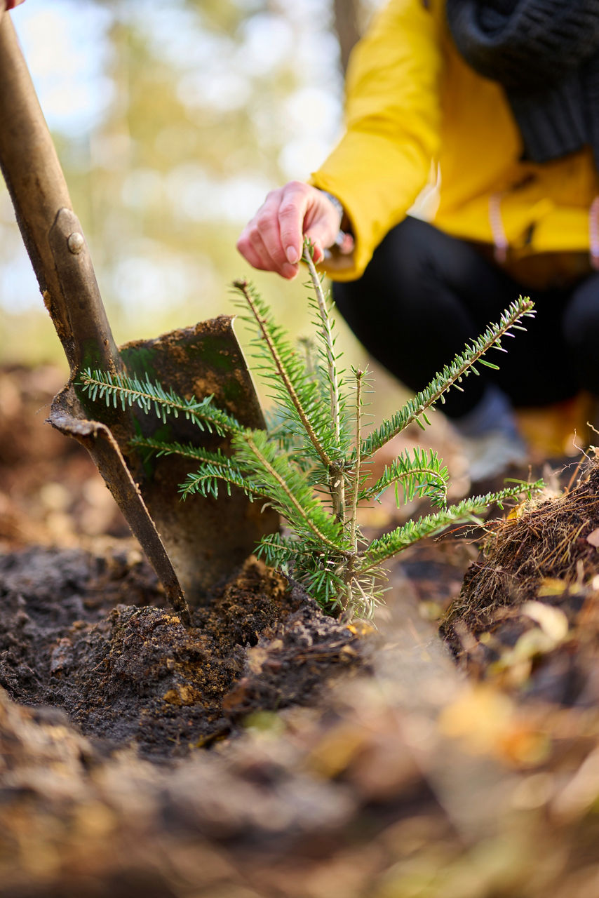 2023-10-18-Vergölst-Artenglück-Baumpflanzaktion-Lüneburger-Heide-hauke-mueller-fotografie_HMF2861.jpg