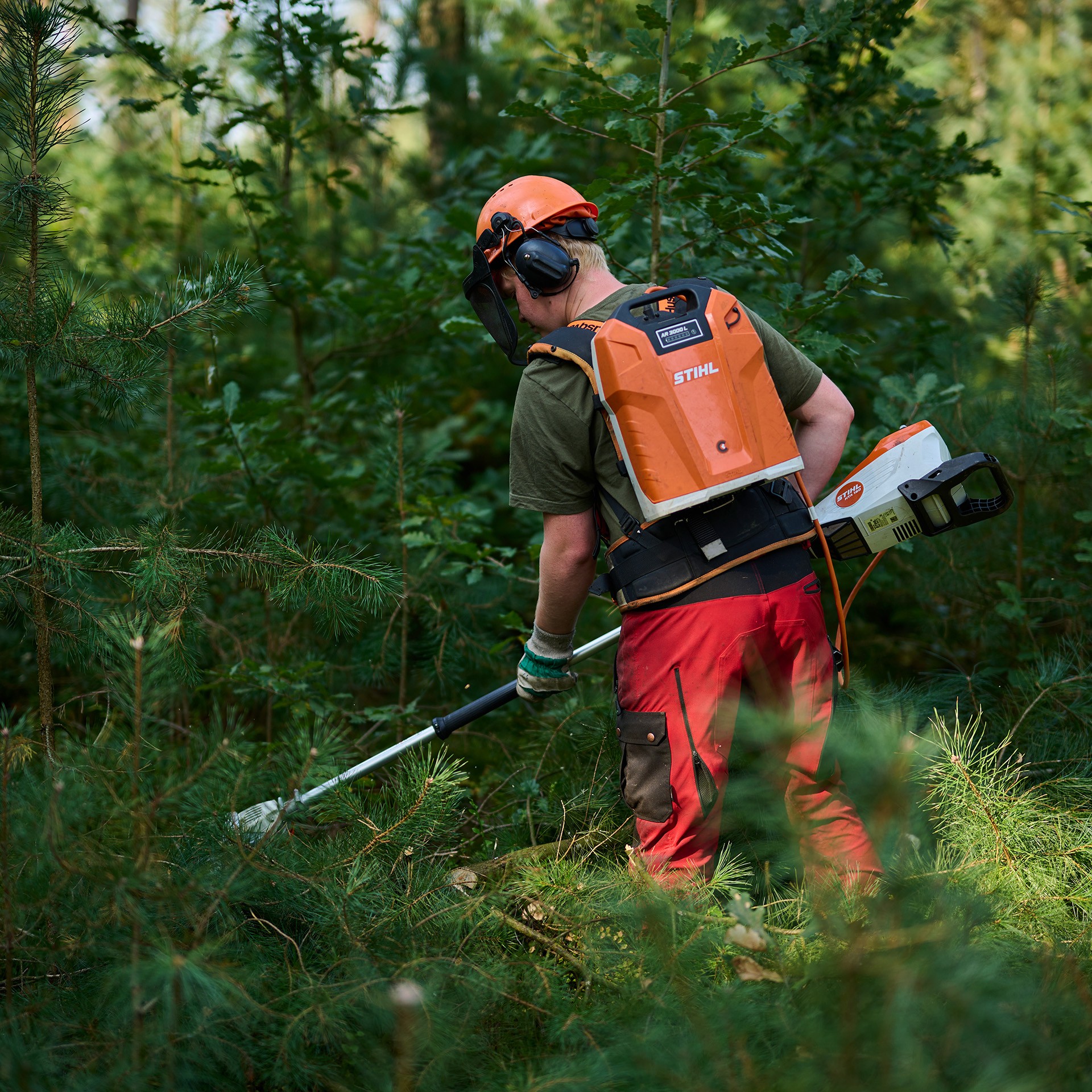 Pflege und Erhalt von 40.000 Quadratmetern Wald in der Lüneburger Heide