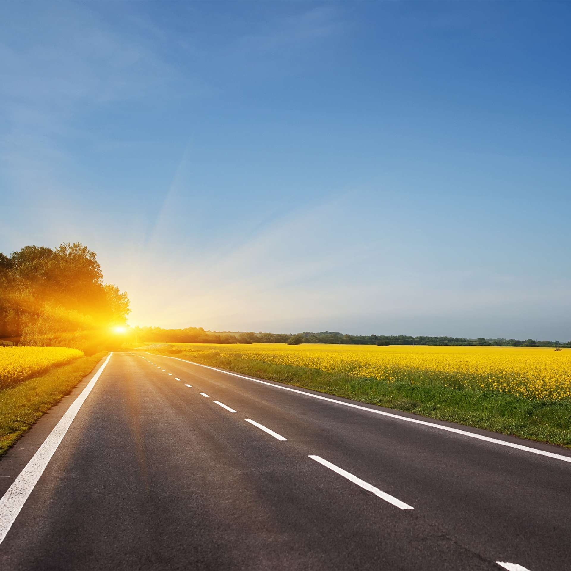 Eine Landstraße, die durch eine goldene Landschaft bei Sonnenaufgang führt. Passend für Themen wie Reisen, Natur oder Freiheit.