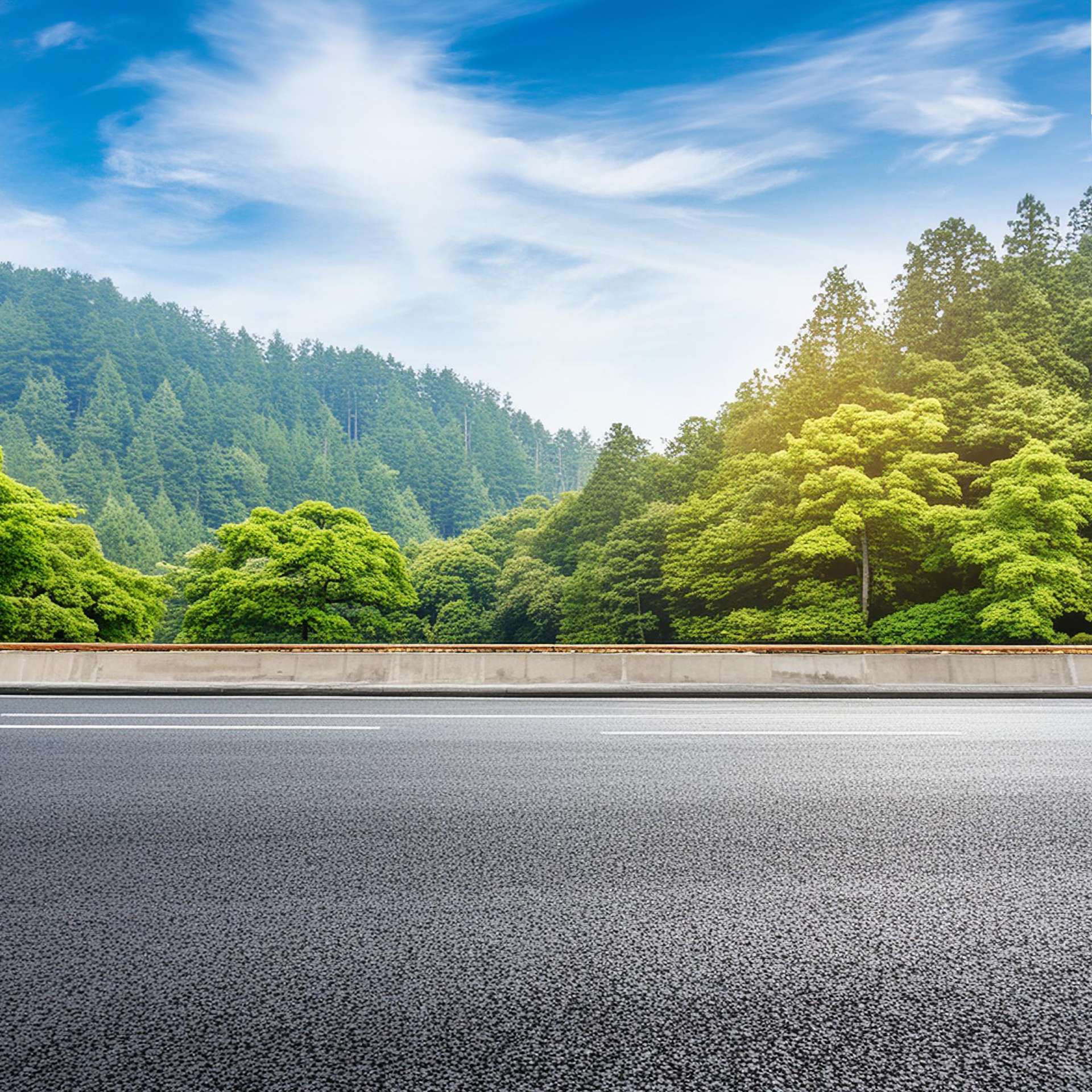Eine asphaltierte Straße führt an einer üppig grünen Waldlandschaft entlang unter einem klaren, blauen Himmel – ideal für sommerliche Autofahrten