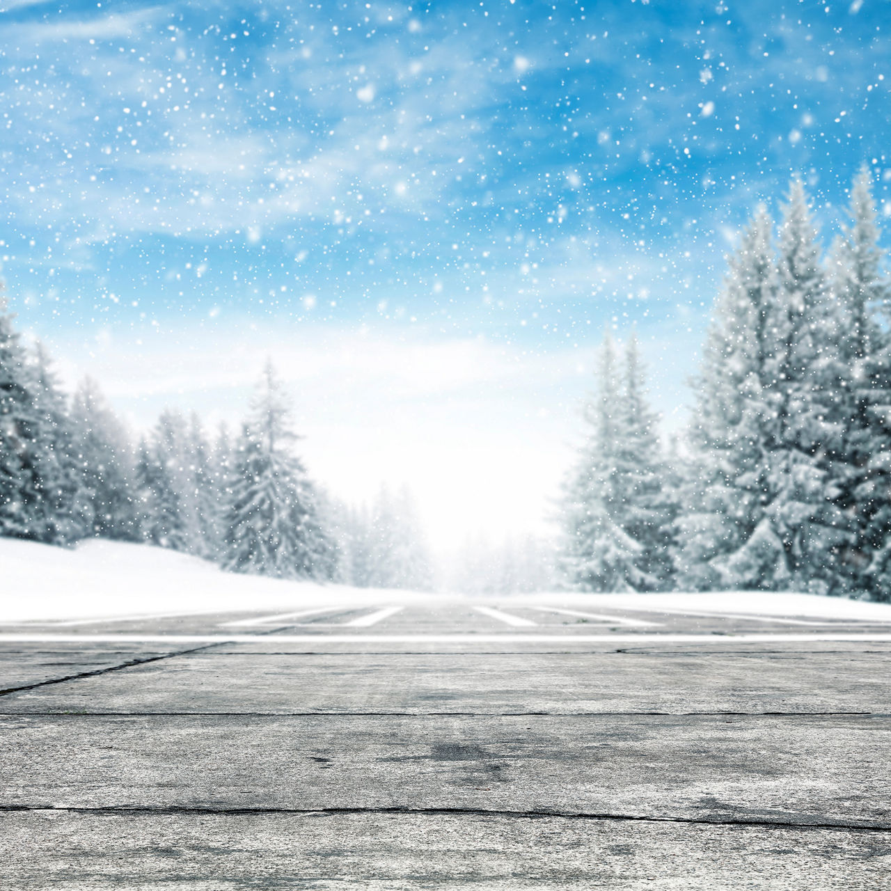 Eine Asphaltstraße, umgeben von schneebedeckten Bäumen und fallendem Schnee unter einem klaren Himmel.