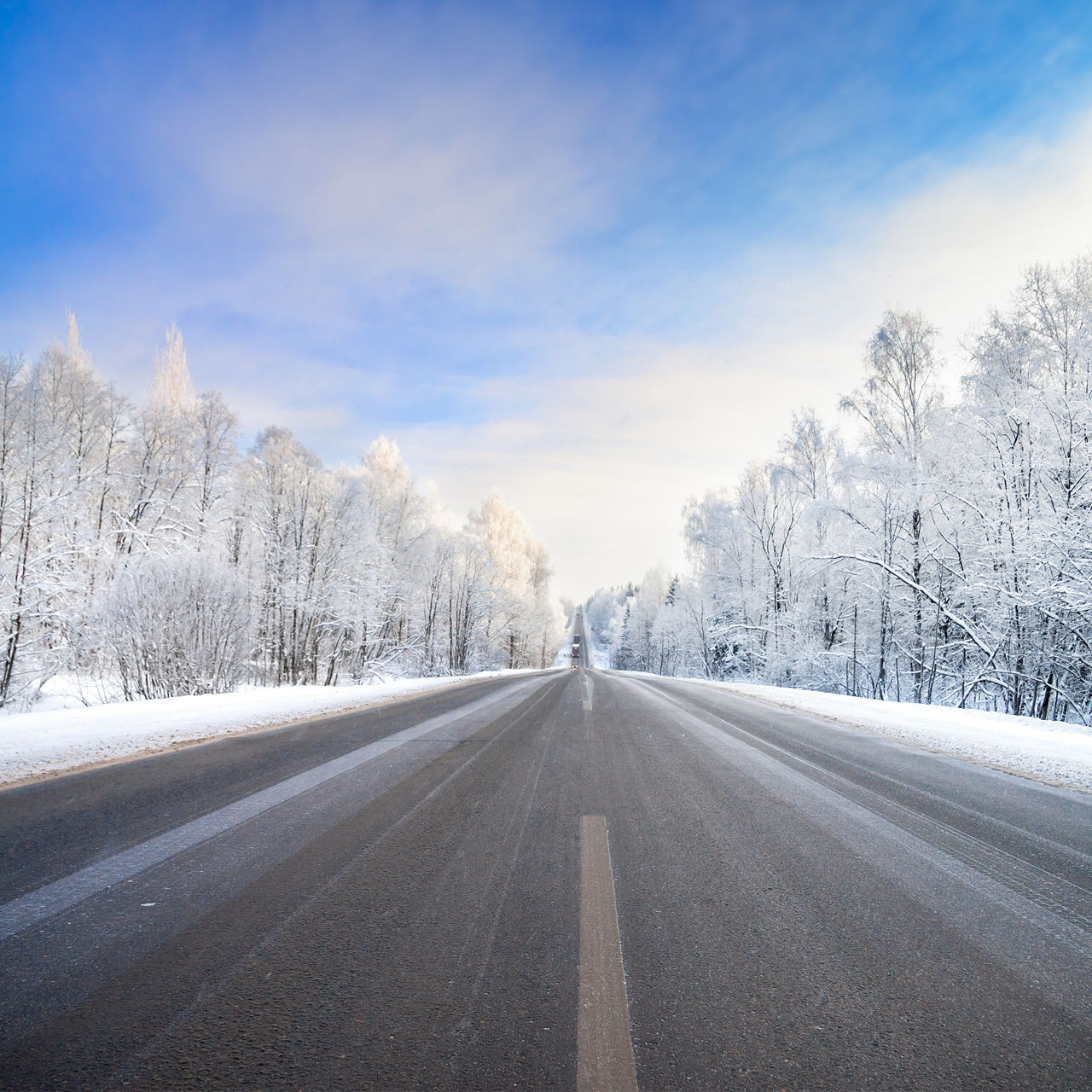  Eine Landstraße, flankiert von schneebedeckten Bäumen und einem klaren blauen Himmel.