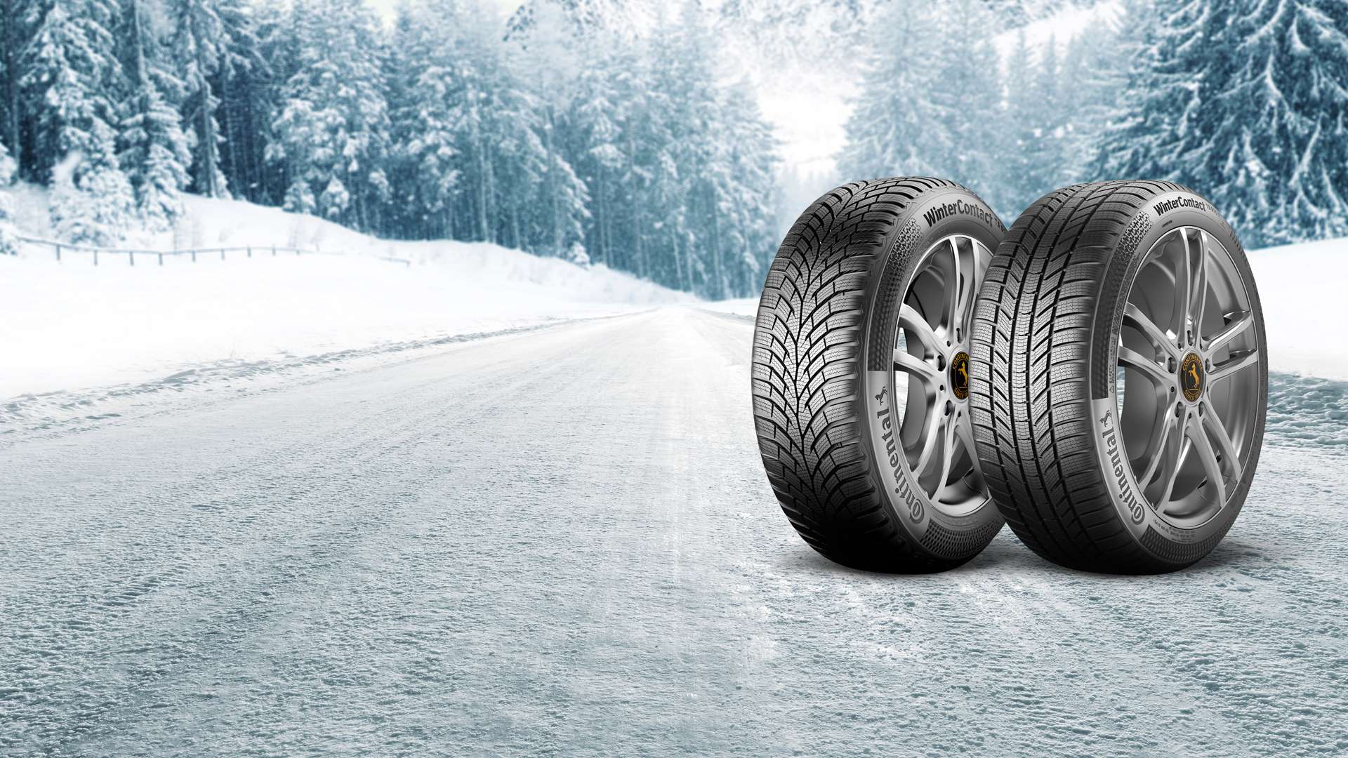 Continental Winterreifen