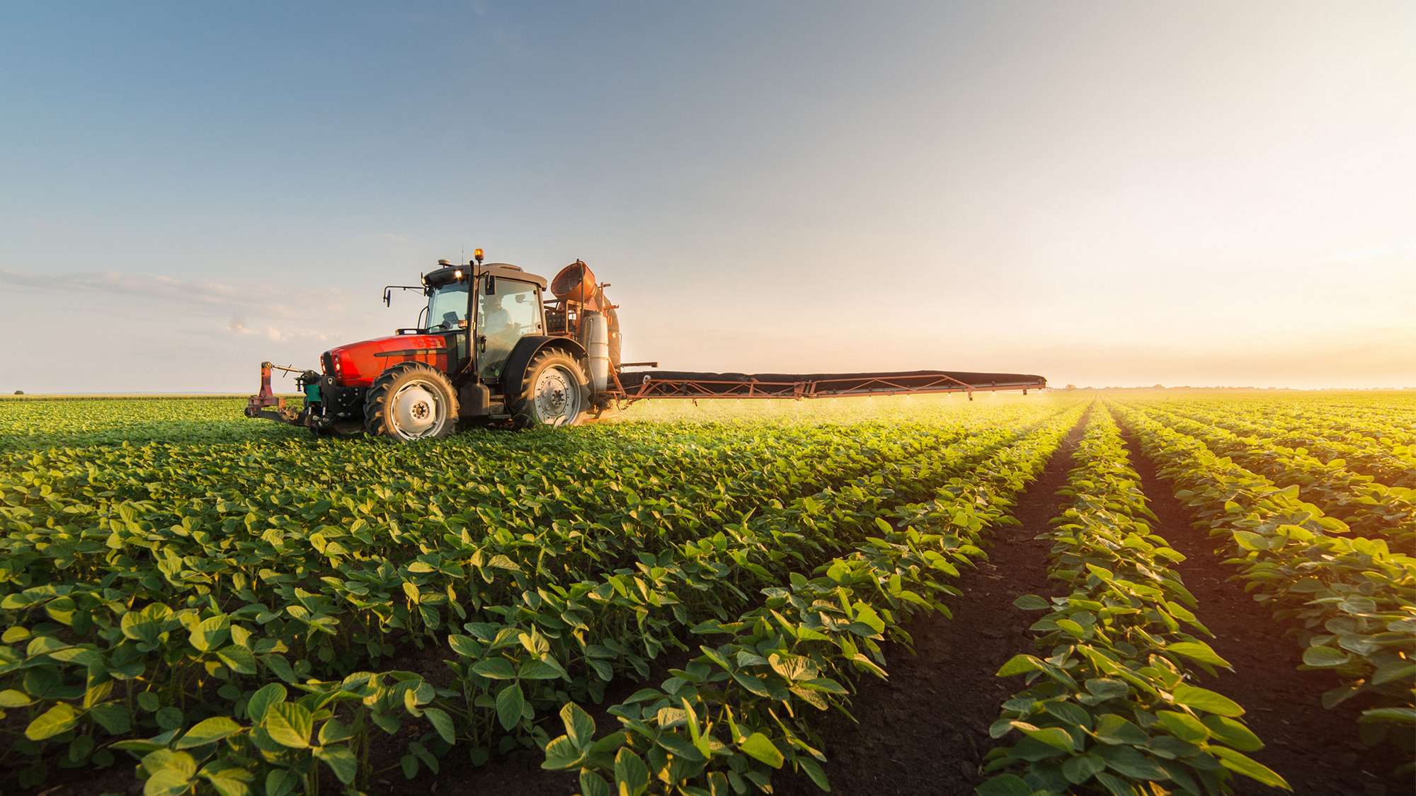 Agriculture_DACH_01_1920x1080.jpg