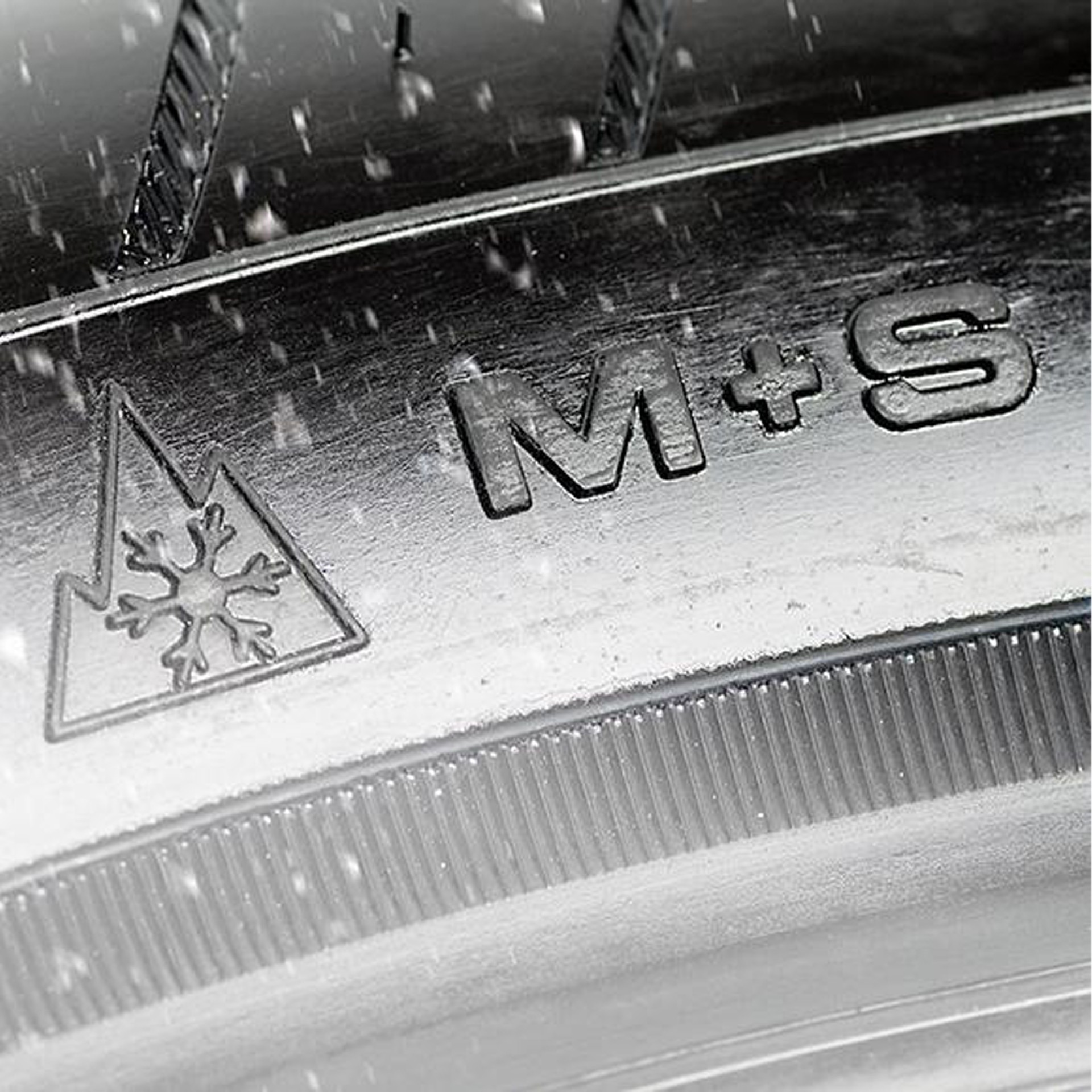 M + S Alpinensymbol