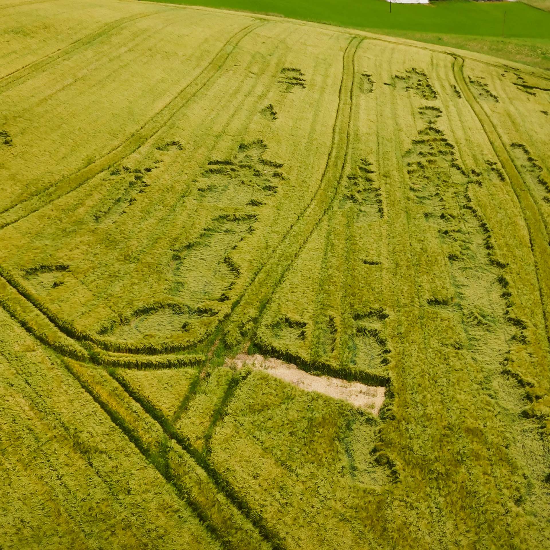 Artenglück 10_1920x1920.jpg