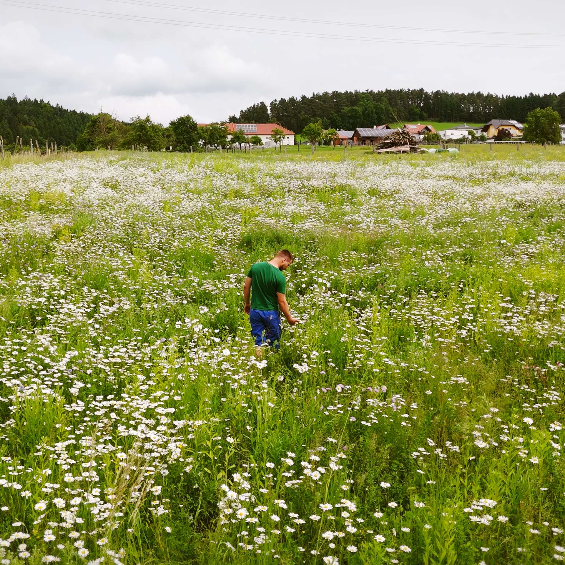 Artenglück teaser_1920x1920.jpg