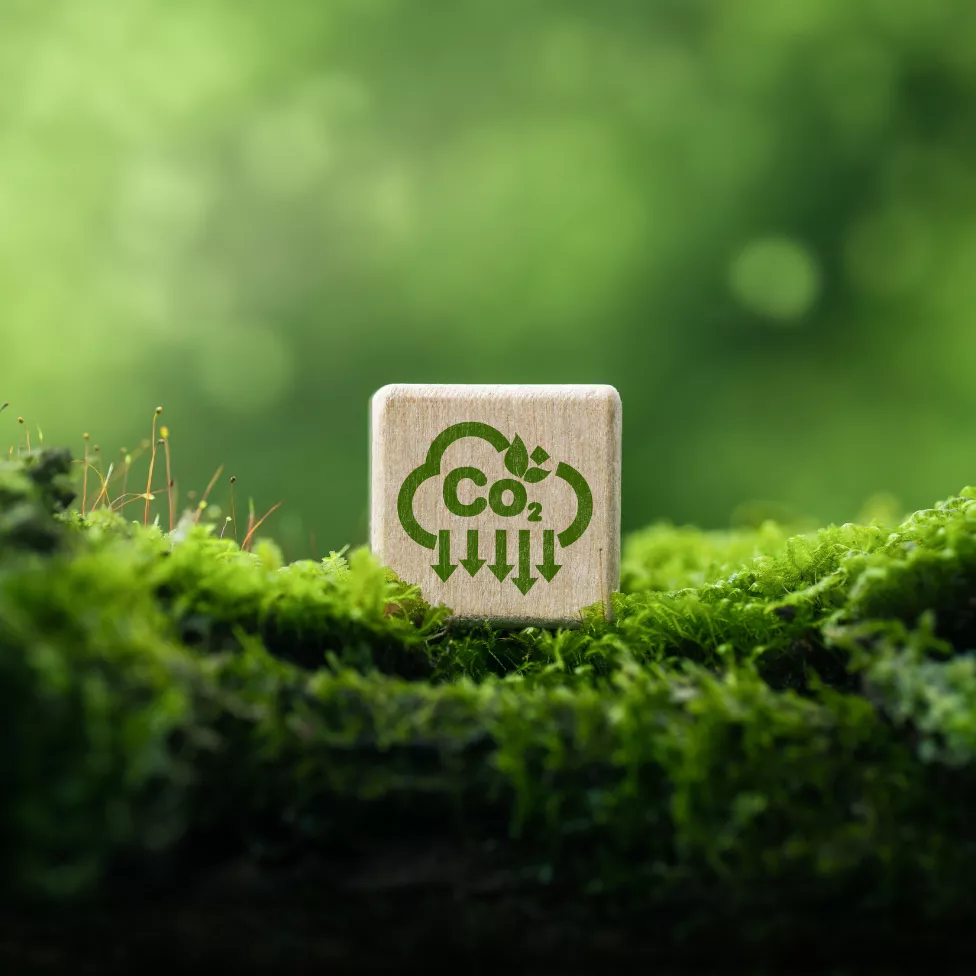 Image text teaser - 976x976 - Comprendre l’importance de l’empreinte carbone et du bilan carbone personnel