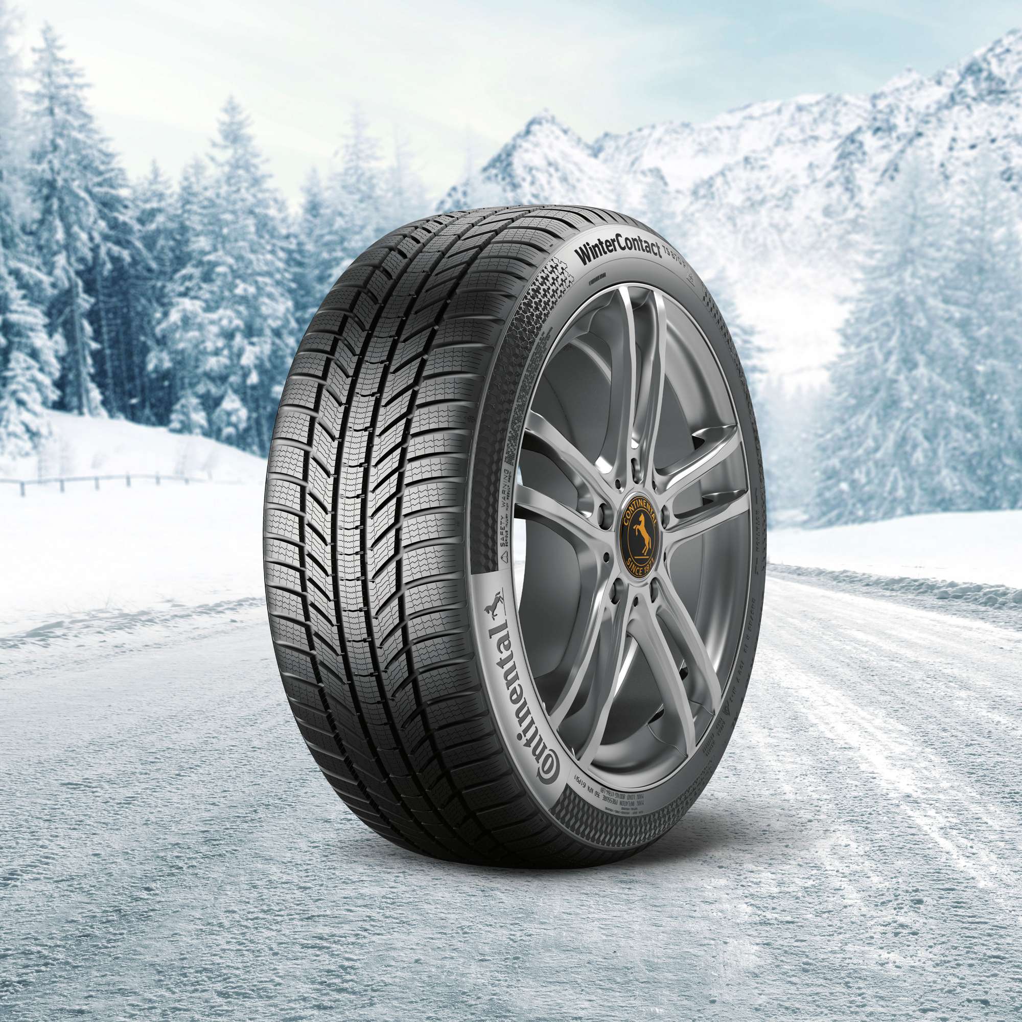 Hybrid_and_electric_vehicles_winter_tires_Vergoelst_02Teaser_1920x1920.jpg