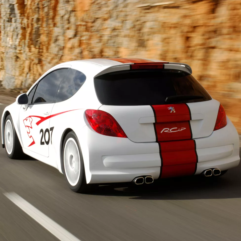 Image text teaser - 976x976 - PNEUS PEUGEOT 207