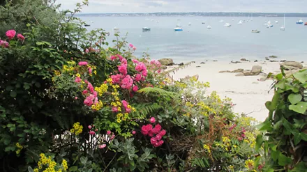 Brand Page - Stage Brand 1920x1080 - Ploudaniel