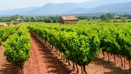 Brand Page - Stage Brand 1920x1080 - Puget