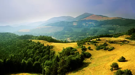 Brand Page - Stage Brand 1920x1080 - Saint-Dié