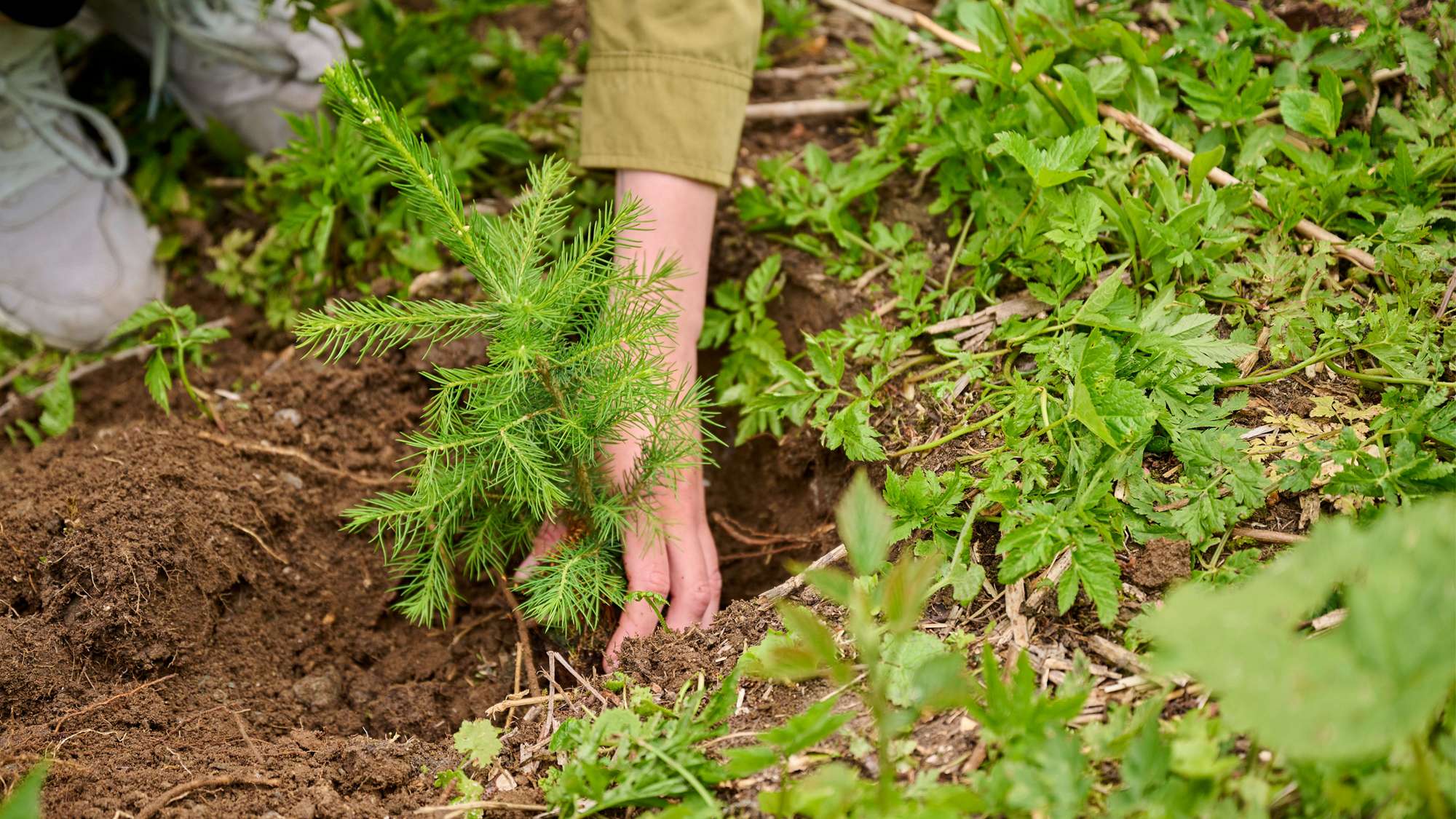 Sustainability_CH_DACH_01_1920x1080.jpg