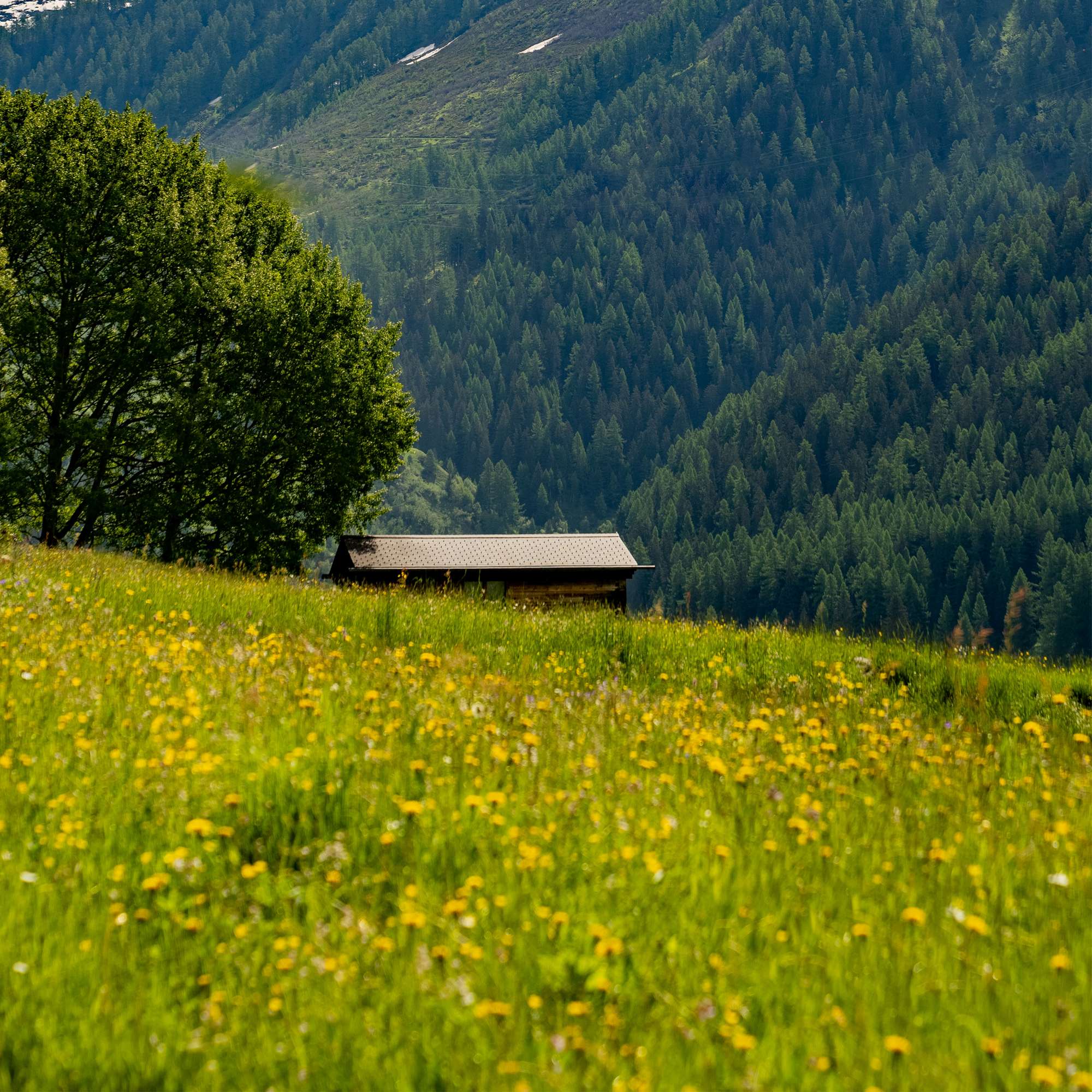 Sustainability_CH_DACH_02_Teaser_1920x1920.jpg