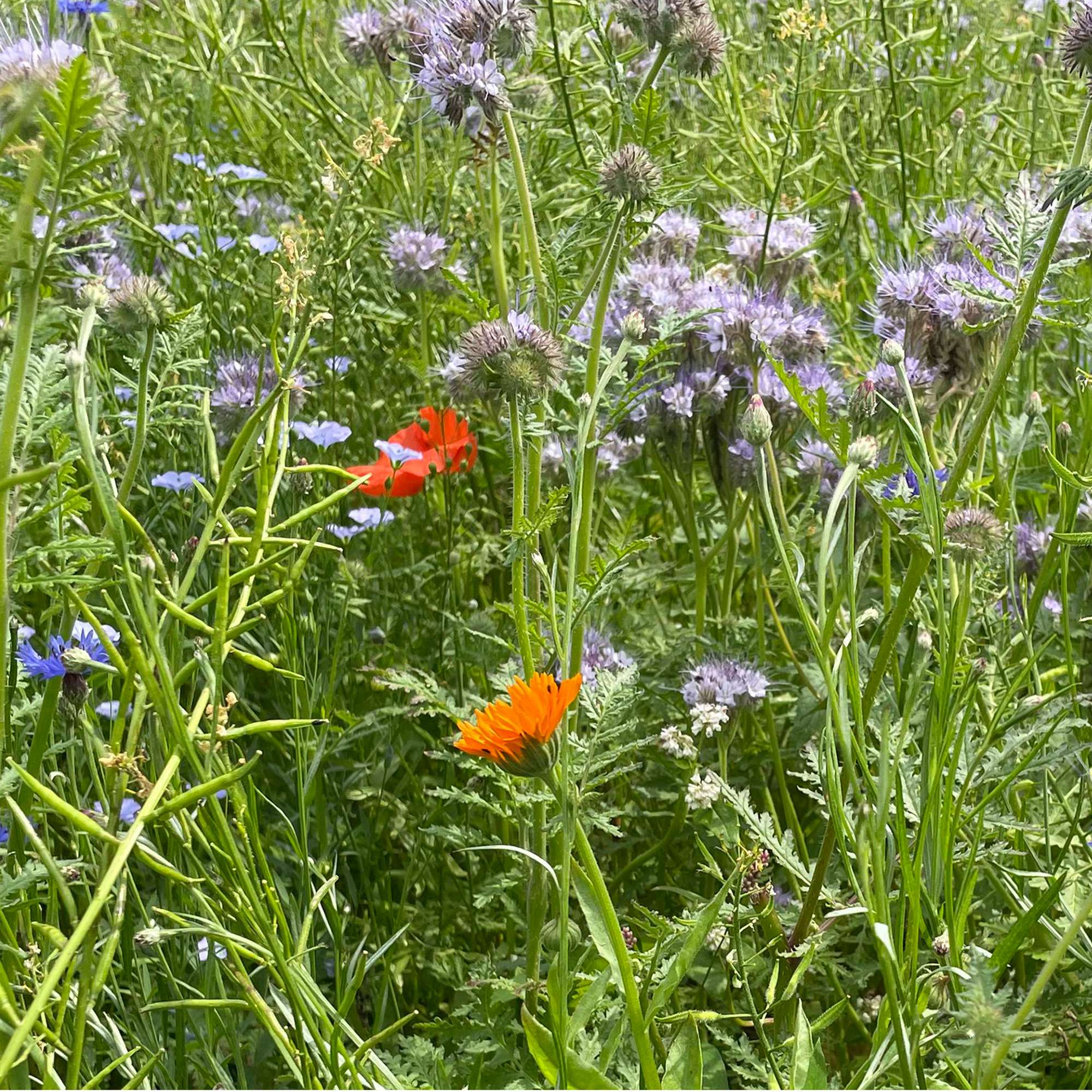 Sustainability_Vergoelst_02Teaser_1920x1920.jpg