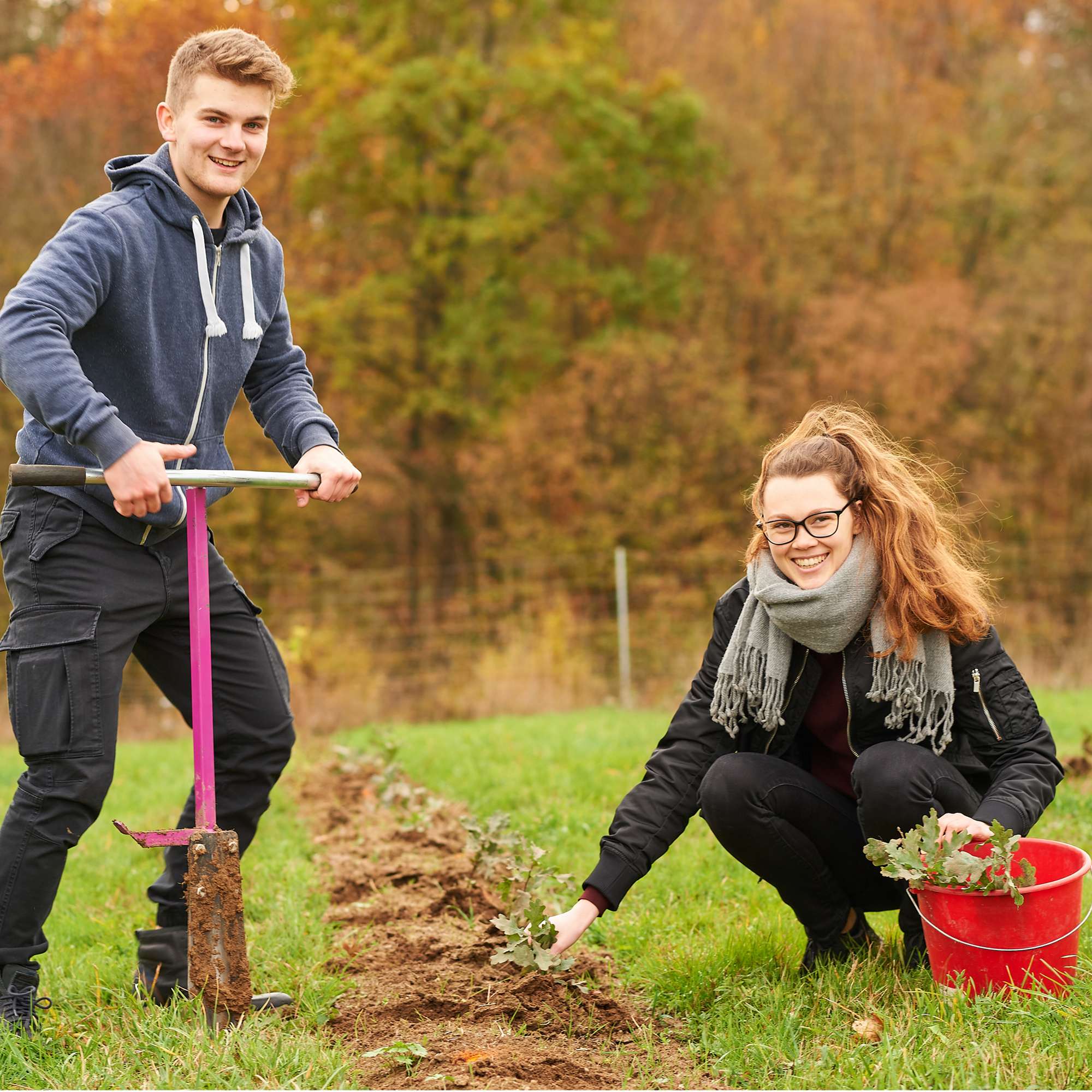 Über 6.000 Baumsetzlinge wurden in den letztern Jahren gepflanzt.