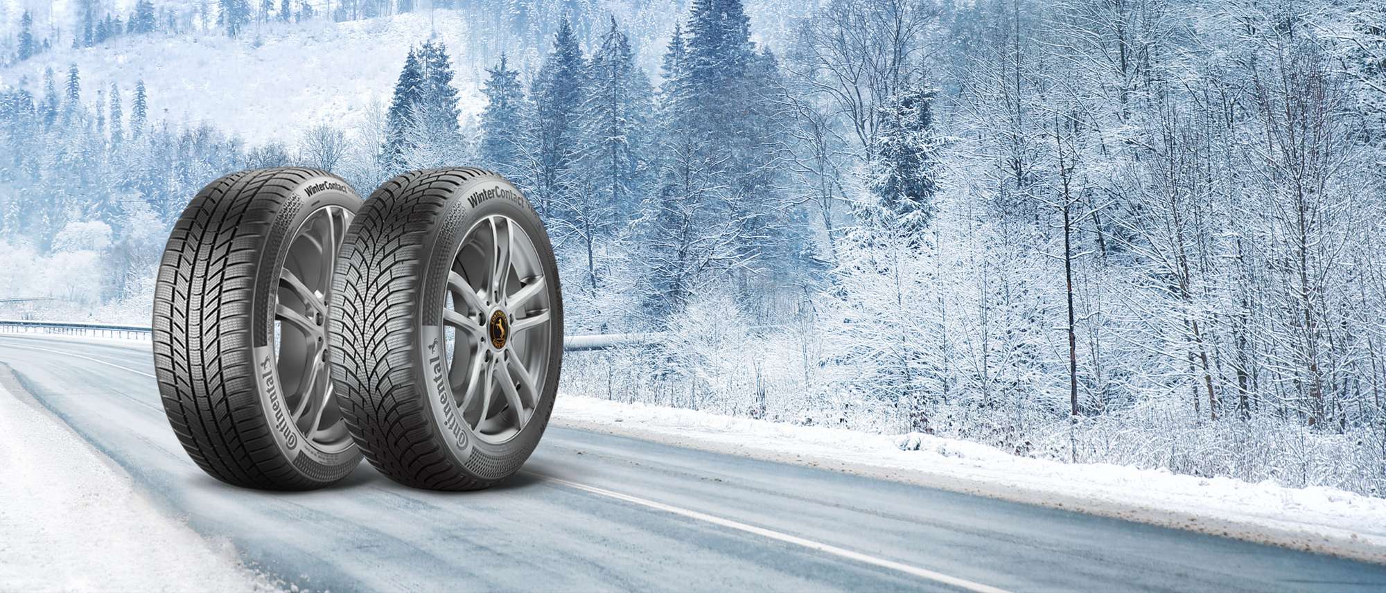 Winter_Tires_Vergoelst_01MainMarketing_1920x822.jpg
