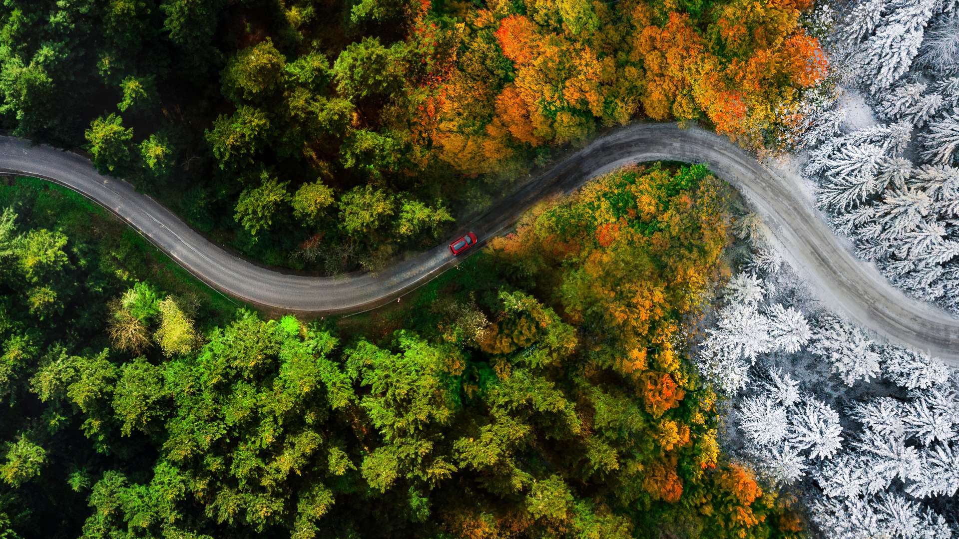 Driving in forest after snowfall, aerial drone view