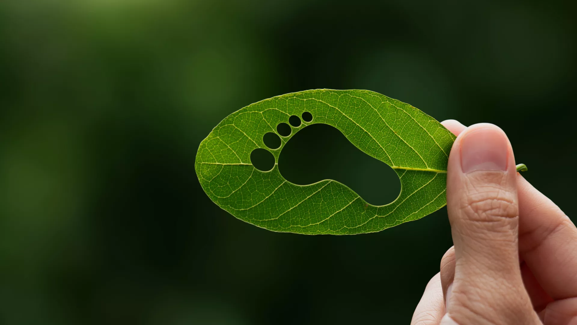 Background text teaser - comment calculer empreinte carbone