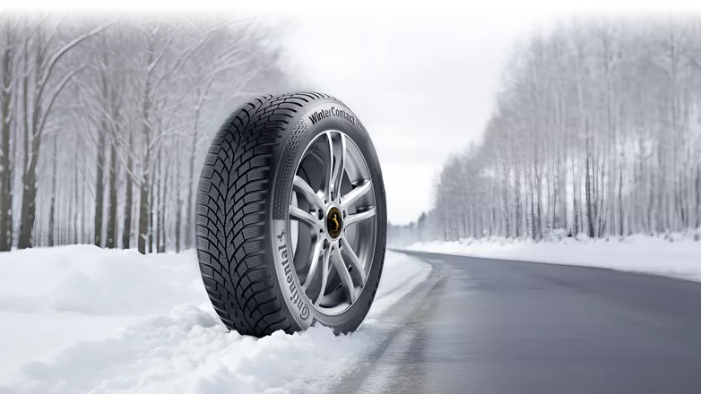 continental-winter.png