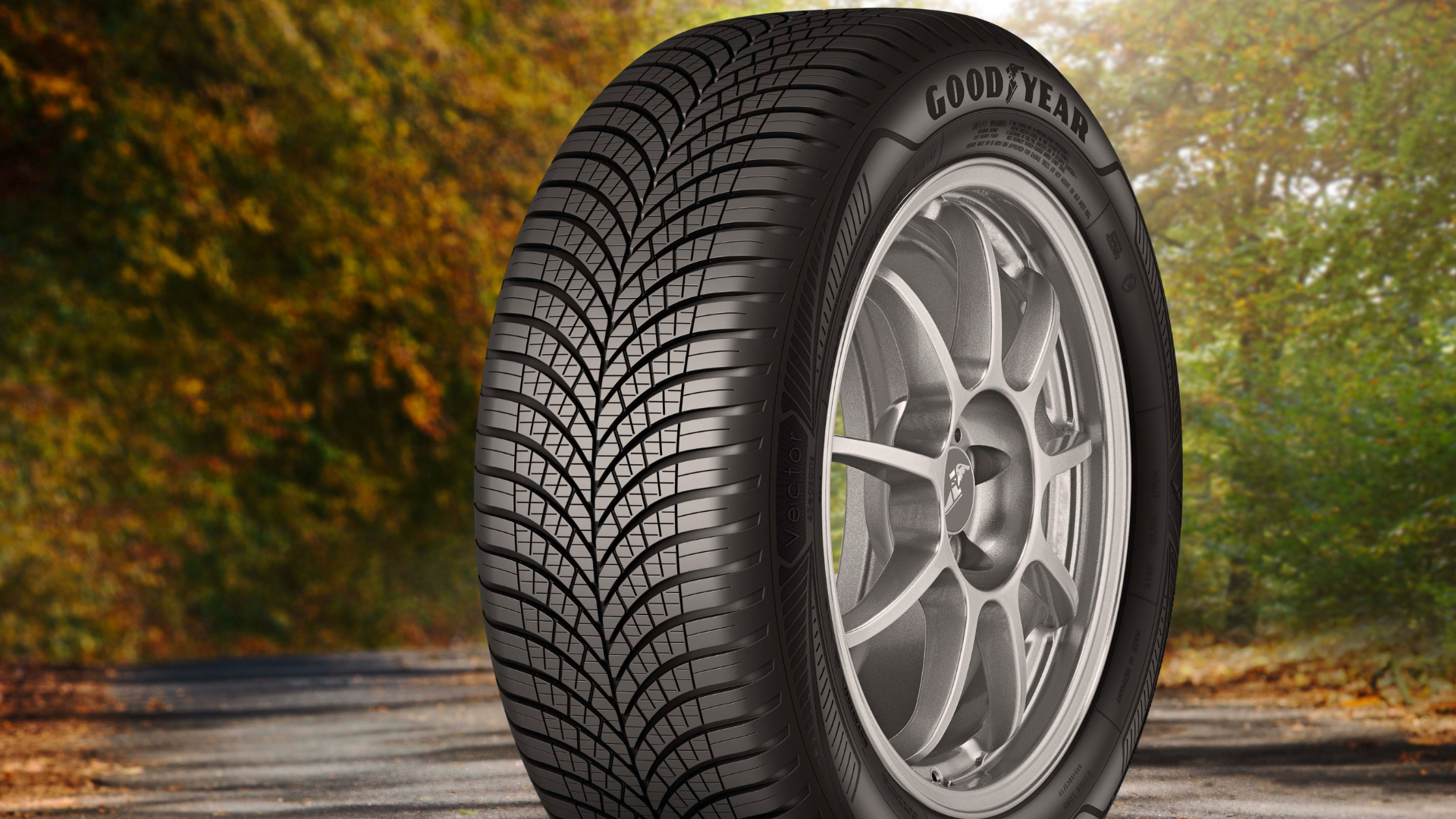 goodyear4saisons.png