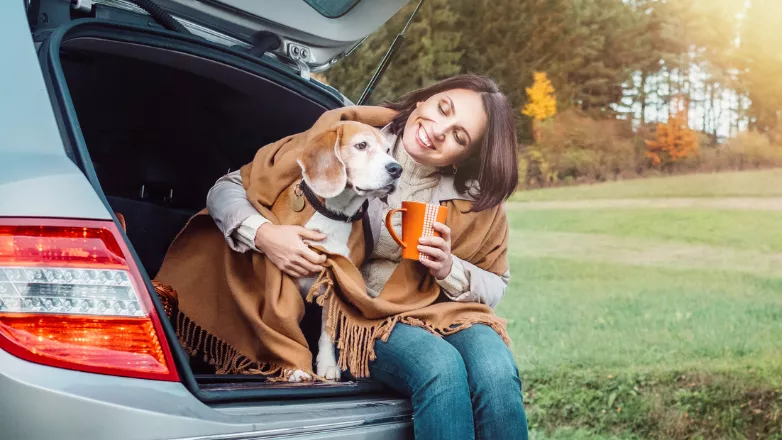 LinkTeaser Tile - 782x440 - habituer chien chat trajet voiture