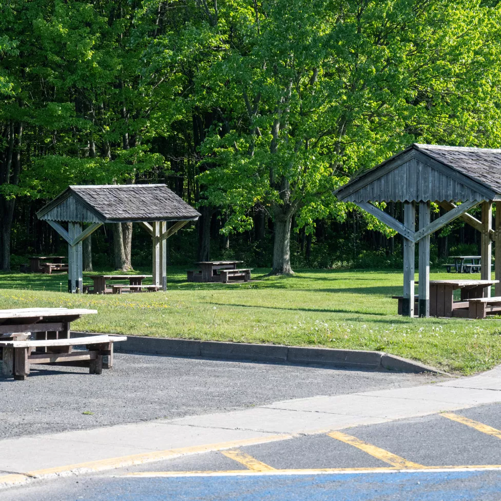 Image-Text Teaser - 976x976 - 1