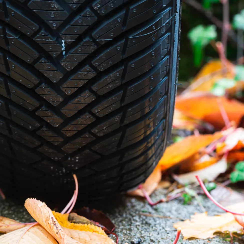 Image-Text Teaser - 976x976 - 1