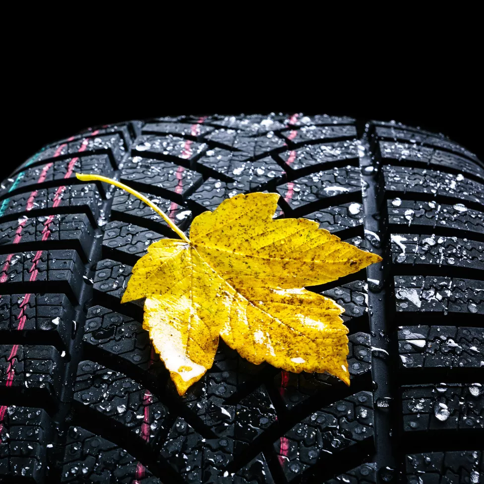 Image-Text Teaser - 976x976 - 1